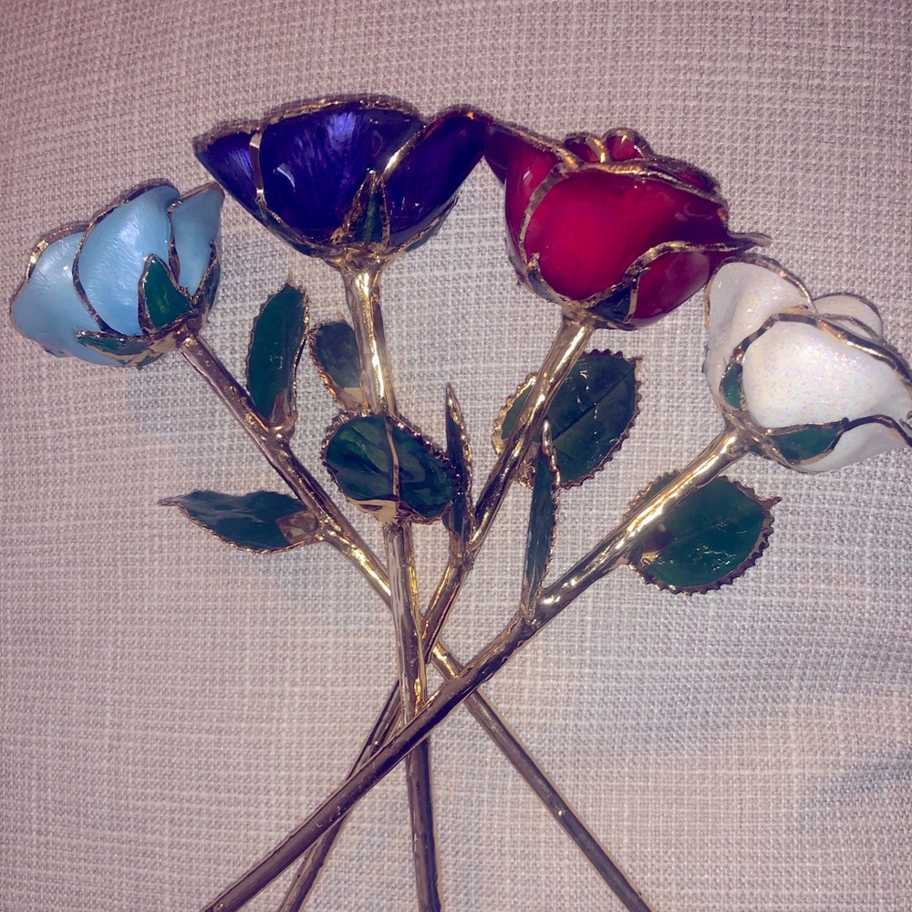 24K Gold Dipped Roses
